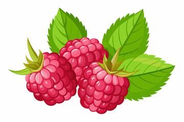 raspberry berries with leaves on a white background