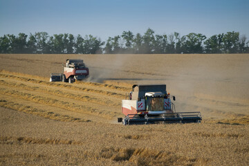  Two modern harvesters harvest field 