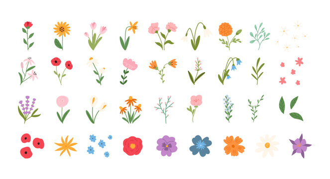 Set of hand drawn flowers in cute cartoon flat style, vector illustration isolated on white background. Spring and summer florals. Concepts of gardening and nature.