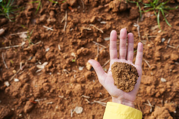 A hand holding a handful of dirt. Sustainability and care environment concept. Earth day