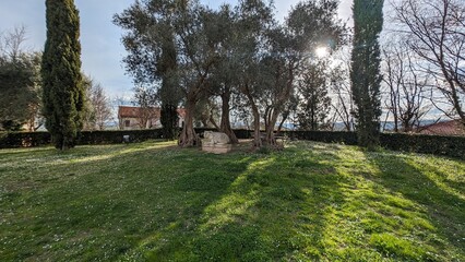 Fototapeta na wymiar Piccolo parco a Sant'Andrea di Suasa nelle Marche in Italia