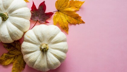 white pumpkins and autumn leaves on pink background