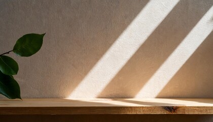 wooden shelf on a background of beige wall in the sunlight