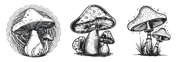 Forest mushrooms hand drawn vintage style vector illustration, Generative Ai