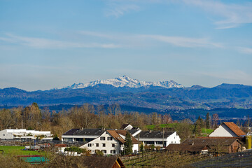 Fototapeta na wymiar Scenic landscape with Glatt valley and skyline with mountain panorama with Säntis in the background at Swiss City of Zürich on a sunny winter day. Photo taken March 14th, 2024, Zurich, Switzerland.