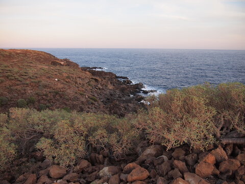 Arico (Tenerife, Canary Islands, Spain)