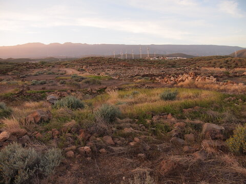 Arico (Tenerife, Canary Islands, Spain)