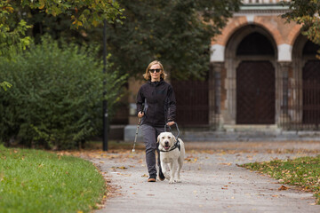 Blind woman walking in city park with a guide dog assistance, on a windy autumn day. Visually...