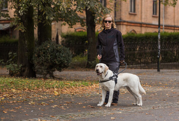 Visually impaired woman walking along city park with a guide dog assistance. Loyal companions for blind people concept.