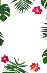 Tropical leaves palm tree and monstera with red yellow flowers on a white background with space for text. Top view, flat lay