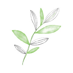 Botanical leaf doodle wildflower line art