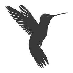 Obraz premium Silhouette Hummingbird fly black color only full body