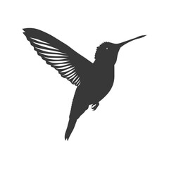Obraz premium Silhouette Hummingbird fly black color only full body
