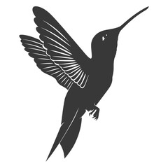Obraz premium Silhouette Hummingbird fly black color only full body