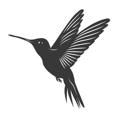 Obraz premium Silhouette Hummingbird fly black color only full body