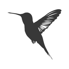 Obraz premium Silhouette Hummingbird fly black color only full body