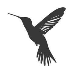 Obraz premium Silhouette Hummingbird fly black color only full body