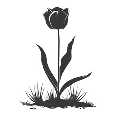 Silhouette Tulip Flower Plant in the ground black color only