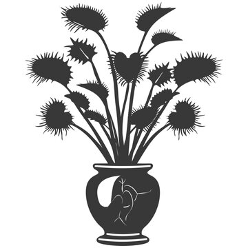 Silhouette Venus flytrap Flower Plant in the vase black color only