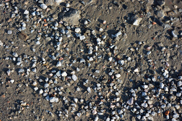 Nature, minerals, granite, gray stones and crumbs, red small bricks scattered all over the sandy surface of the earth.