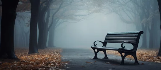 Foto op Aluminium An outdoor bench sits among the trees in a foggy forest, surrounded by tints and shades of green. The sky is hidden behind clouds, creating a peaceful natural landscape © AkuAku