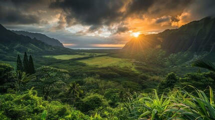 Vibrant sunset amidst lush green hawaiian valley under moody sky - nature's serenity