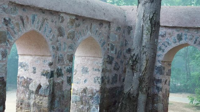 Nature's Presence Around the Arched Platform, Mirza Muzaffar Hussain Tomb