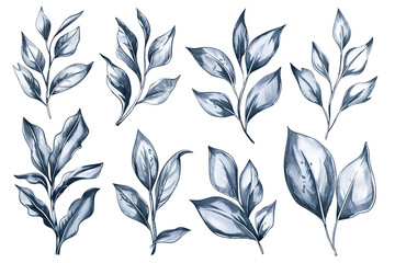 Collection Set of Watercolor Leaves Illustrations - Isolated on White Transparent Background PNG
