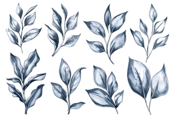 Foto op Plexiglas Collection Set of Watercolor Leaves Illustrations - Isolated on White Transparent Background PNG  © Lumi