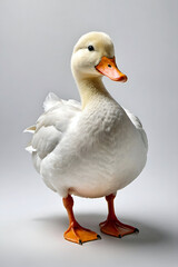 Generative AI full height duck portrait 