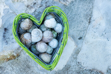 Empty snail shells in a heart-shaped basket - 758195131