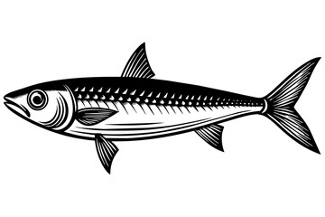 Fish vector illustration