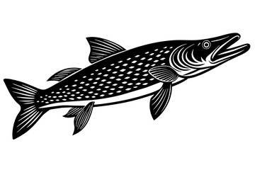 Illustration of a Fish