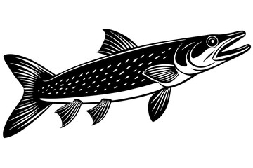Illustration of a Fish
