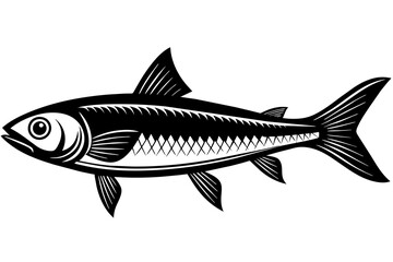 Fish vector illustration