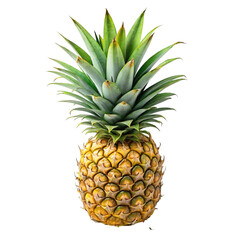 Fototapeta premium Fresh pineapple with leaves isolated on Transparent background.