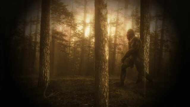 Sasquatch in Forest Old Film