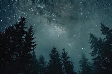 Night sky filled with stars and trees, suitable for nature backgrounds - obrazy, fototapety, plakaty
