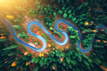 Aerial view of snake road in colorful autumn forest at sunrise. Dolomites, Italy. Top drone view of winding road in woods. Beautiful landscape with highway, green pine trees in fall. Top view. Nature - 758213112