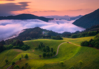 Aerial view of alpine meadows and mountains in low purple clouds at sunrise in summer. Top drone view of hills with green grass and trees in fog, colorful red sky in Slovenia. Nature. Mountain valley
