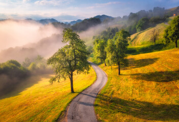 Aerial view of rural road in mountains in summer foggy morning. Nature. Landscape with road, green trees and grass on the hill in fog, sky with low clouds at sunrise in Slovenia. Top view of roadway - 758213195