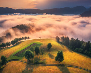 Aerial view of alpine meadows and mountains in low clouds at golden sunrise in summer. Top drone view of hills with green grass, trees in fog, house, colorful sky in Slovenia. Nature. Mountain valley - 758213529