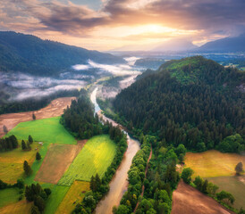 Aerial view of river in low clouds at sunrise in summer in Slovenia. Turns of river, green meadows and fields, grass and trees, rural road at golden dawn in spring. Top view of mountain countryside - 758213549