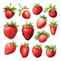 Watercolor Painting Vector of a collection red strawberries fruit (ripe strawberry), isolated on a white background, Drawing clipart, Illustration, Graphic art, design.