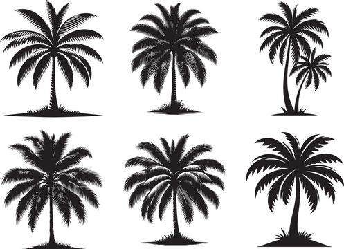 Coconut tree silhouette vector illustration set