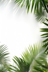 Fototapeta premium Vibrant palm leaves on a clean white background, perfect for tropical themed designs