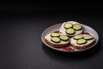 Delicious vegetarian sandwich with grilled toast, cream cheese, cucumbers and seeds