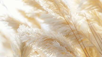Close up shot of tall grass, perfect for nature backgrounds - obrazy, fototapety, plakaty