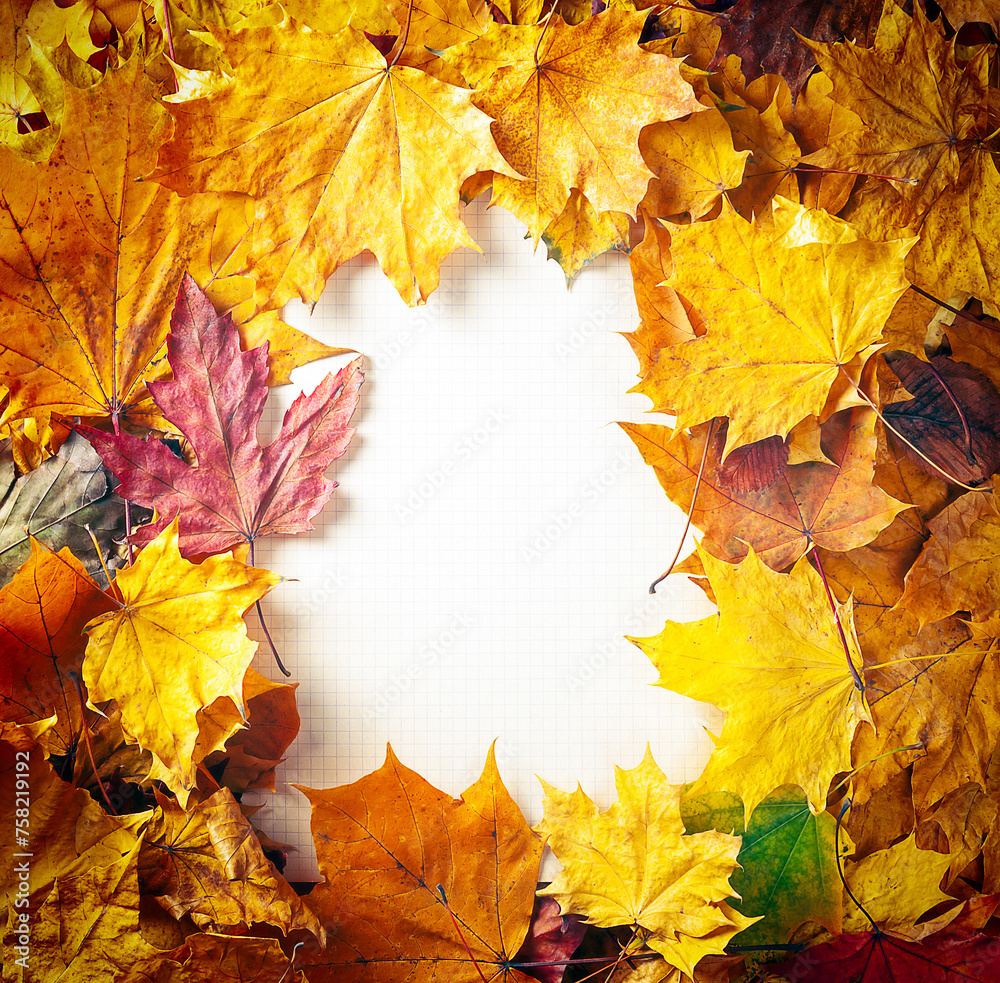 Wall mural autumn concept - background of dry fallen autumn leaves with space for text in the middle - checkere