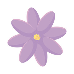 Colored flower icon Spring season Vector